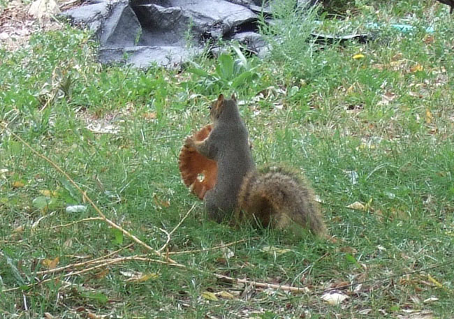 DSCF0628