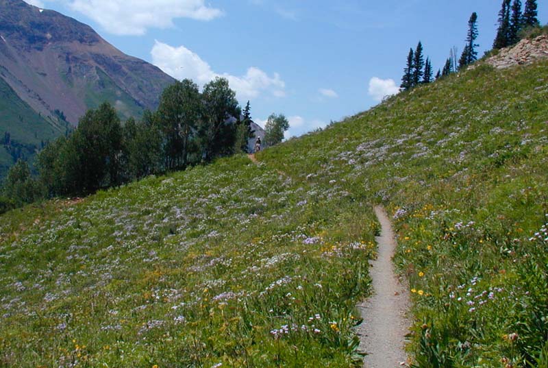 P7290038Trail401