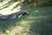 Picture_1400