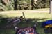 Picture_1401