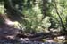 Picture_1410