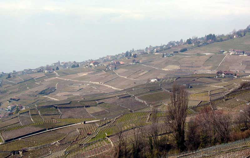 P4100092
