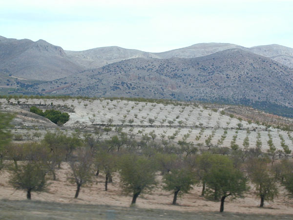 PA110726