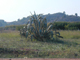 PA100724