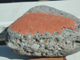 PA120773