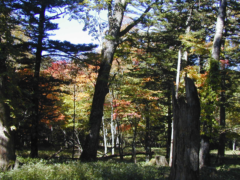 PA110040