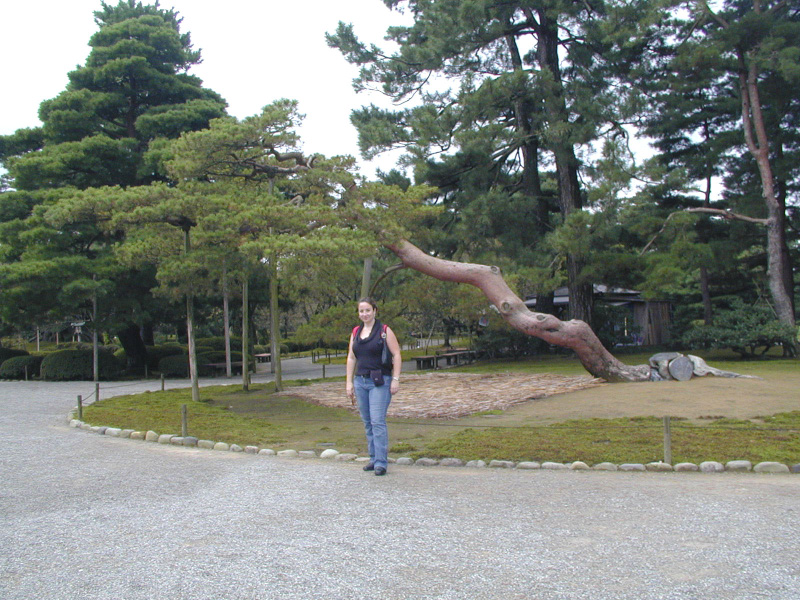 PA150133_edited