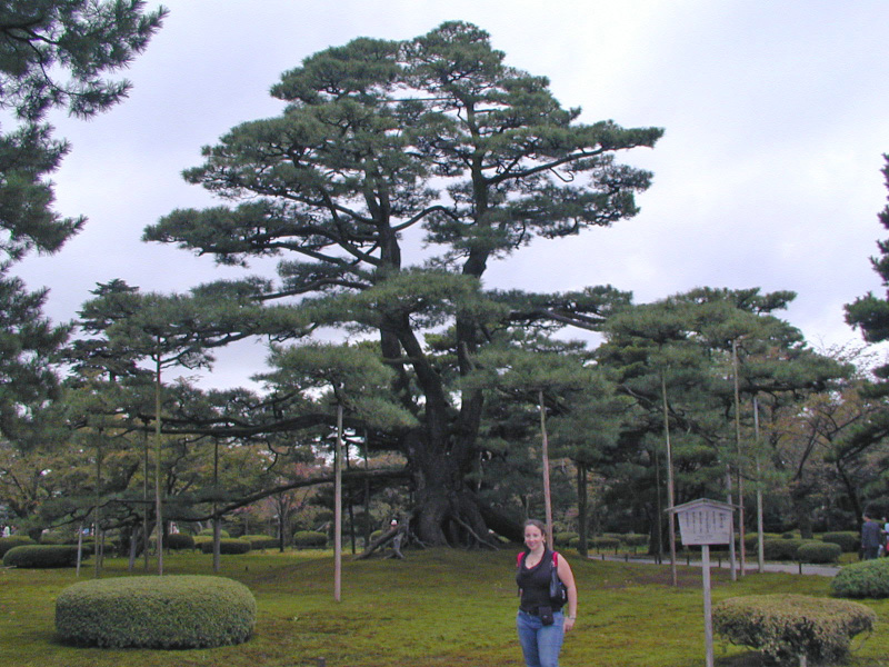 PA150136_edited