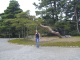 PA150133_edited