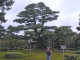 PA150136_edited