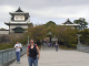 PA150161_edited