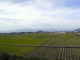 PA170200_edited