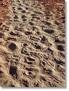 Sandstone texture