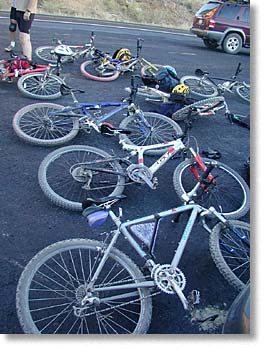 The bikes