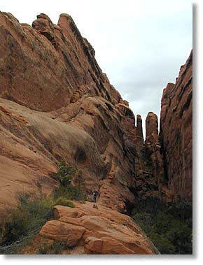 Penelope in a rock canyon