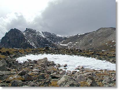 High meadow