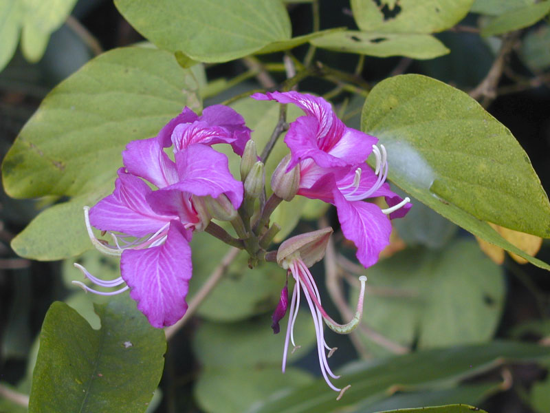 P3050268
