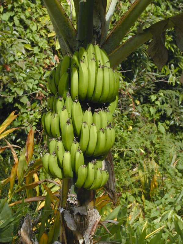 P3050274
