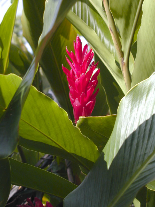 P3050288
