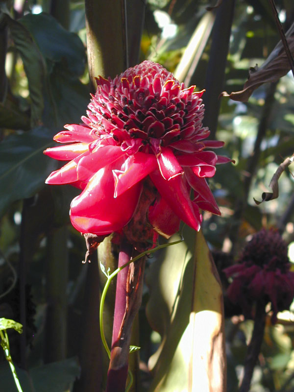 P3050290