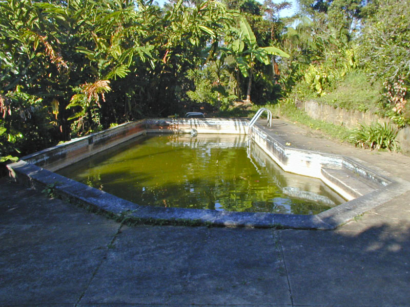 P3050297_edited