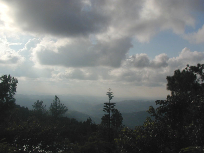 P3050320_edited