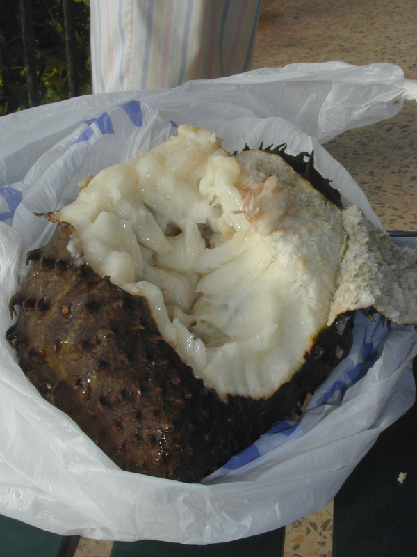 P3050325