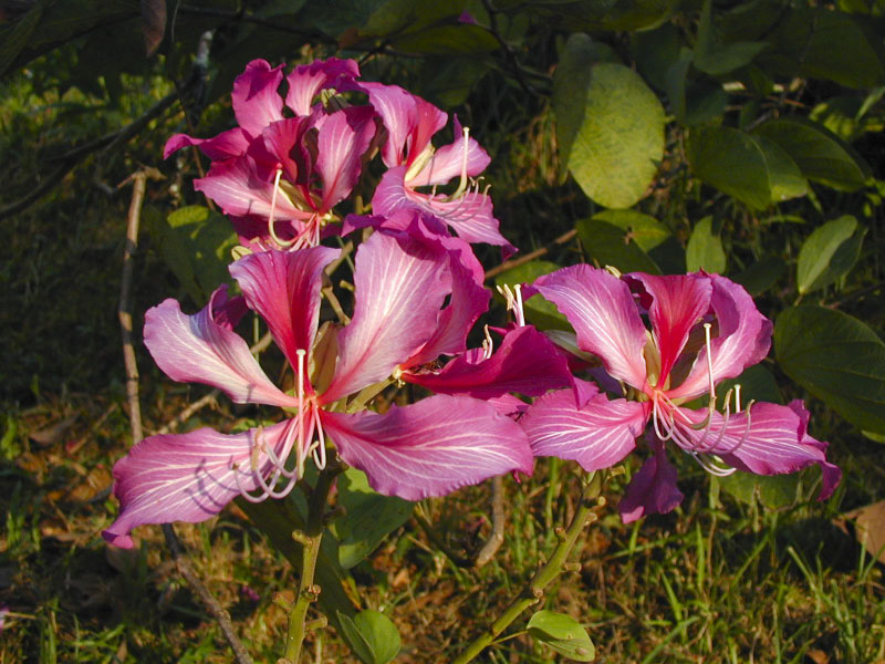 P3050334_edited