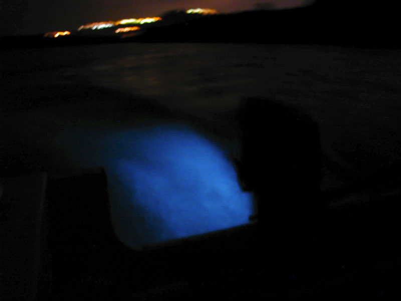 P3060364_edited