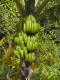 P3050274