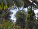 P3050276