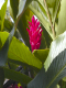 P3050288