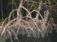 P3060351