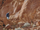 PB260966_edited