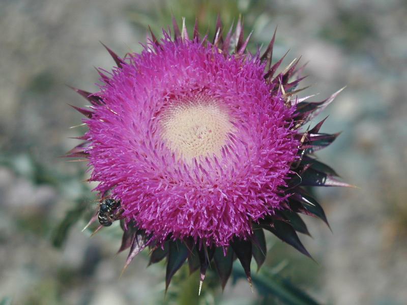 P8170506